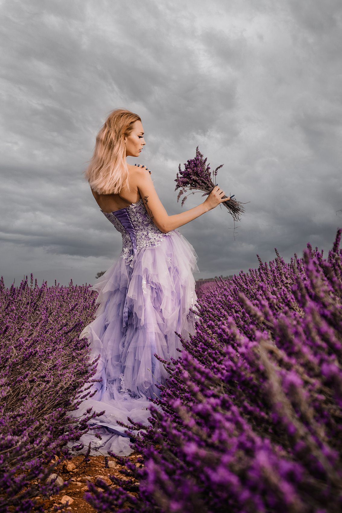 Anastasija - Modèle / Photo Shooting - Lavande - Valensole